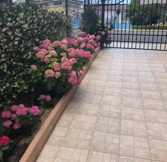 پانسیون Guest House Ivano
