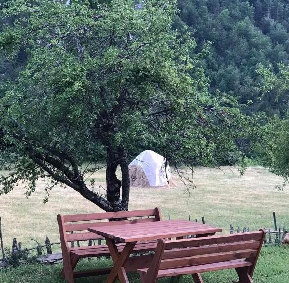 Pensiune Elvis Blini Thethi