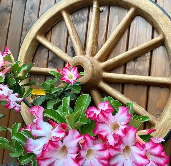 پانسیون Pousada Vila Do Cowboy