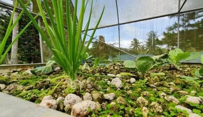 Hotelli Caliraya Ecoville Recreation And Farm Resort