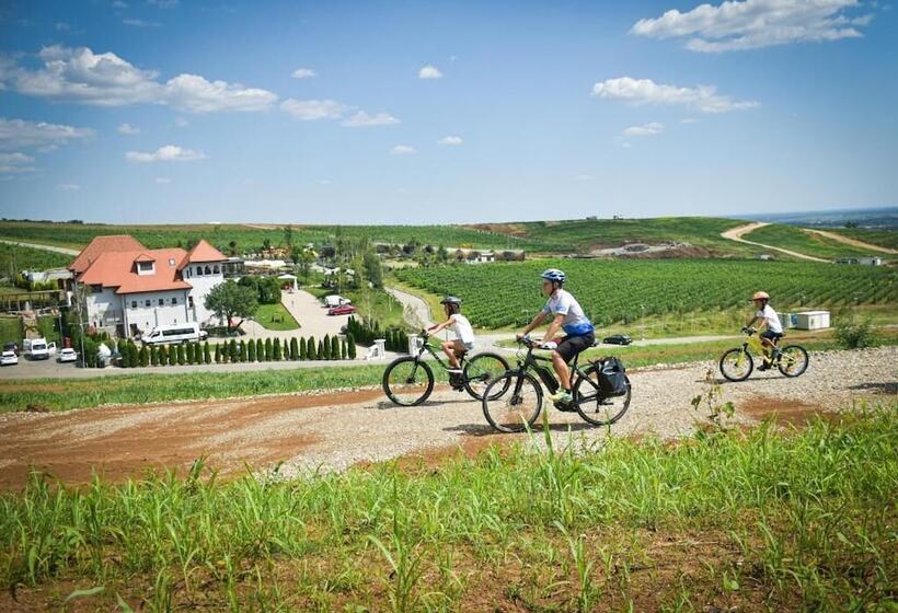 Hotel Casa Timis   Wellness & Spa Resort