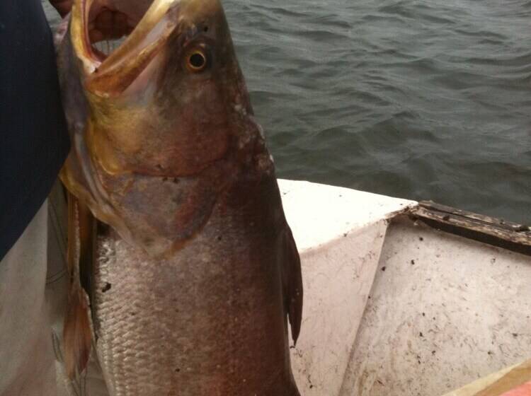 هتل Katakalousse Peche Loisirs