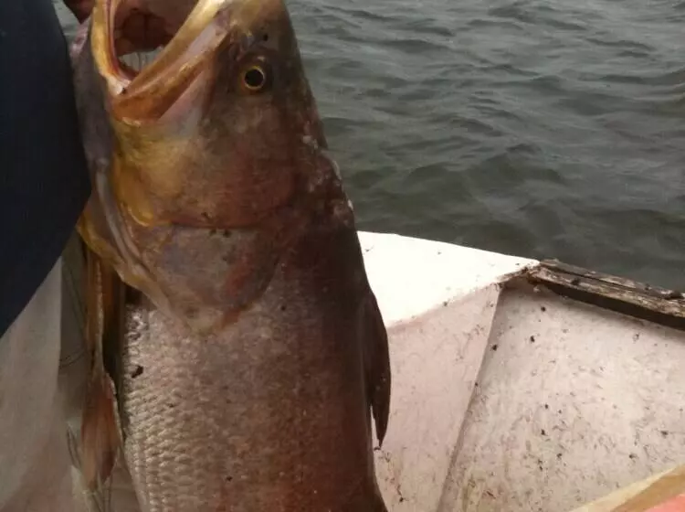 هتل Katakalousse Peche Loisirs