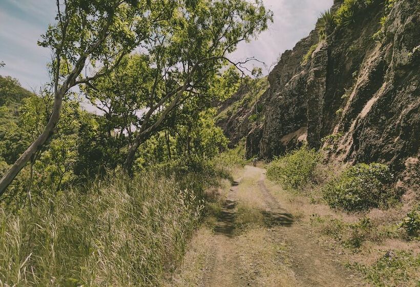 هتل King Fisher Village