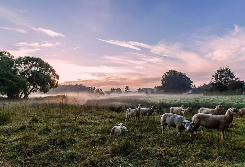 Hotelli Appartementen Klaver Vier