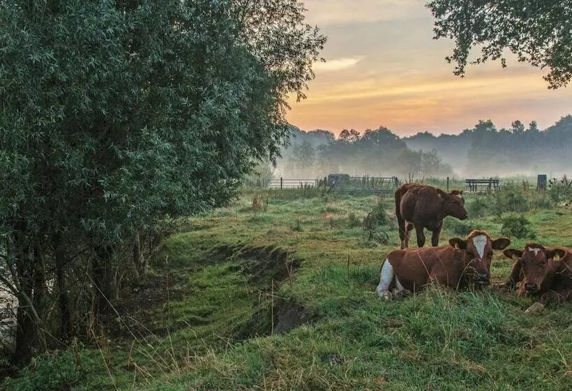 Hotelli Appartementen Klaver Vier