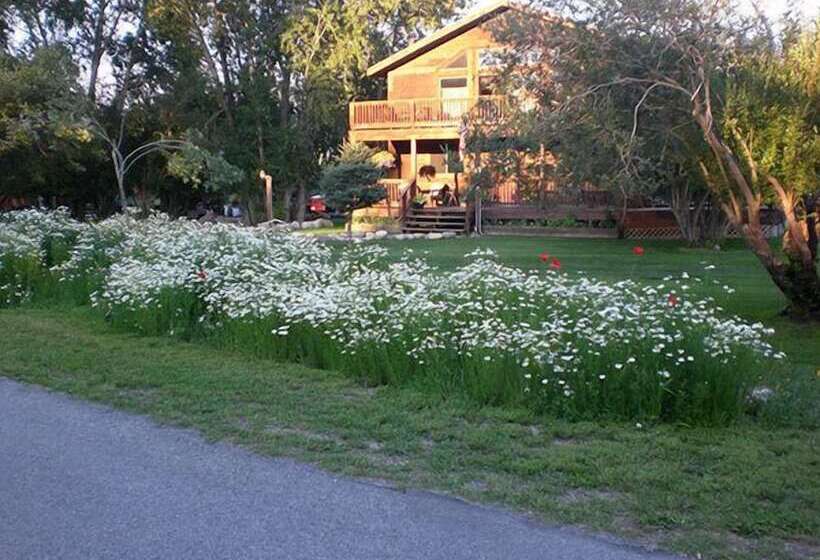 فندق Buffalopeaks Lodge