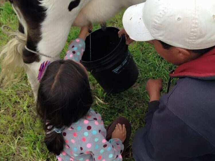 Hotel Chilcabamba Lodge