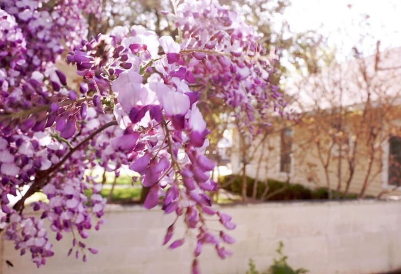 Szálloda Fiddler S Inn