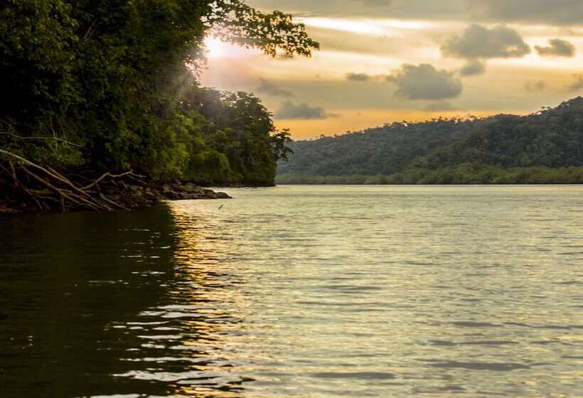 호텔 Isla Violin Eco Lodge