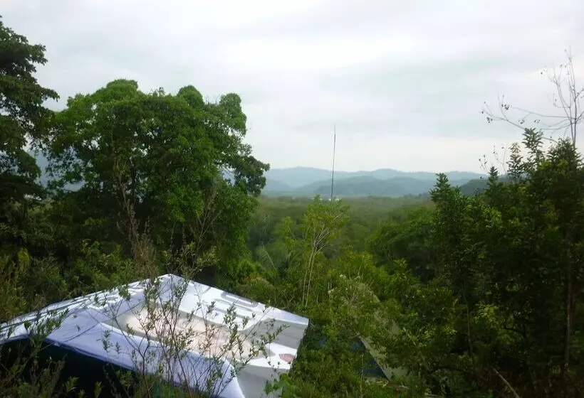 هتل Isla Violin Eco Lodge