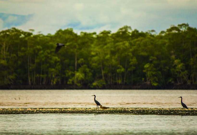 호텔 Isla Violin Eco Lodge