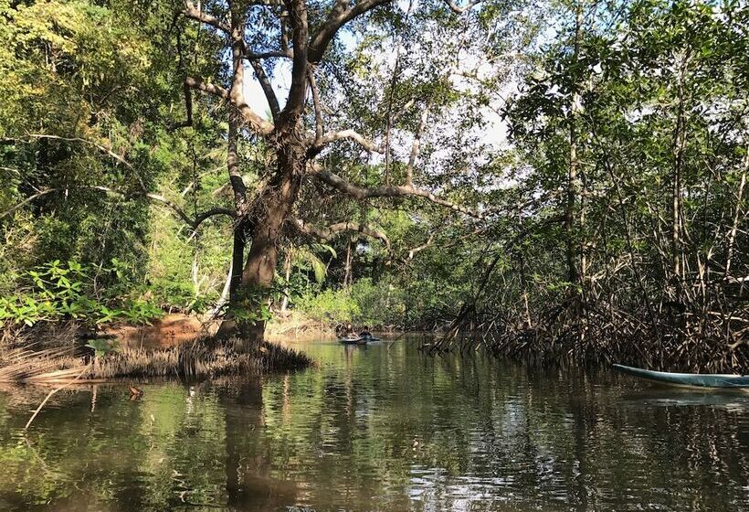 호텔 Isla Violin Eco Lodge