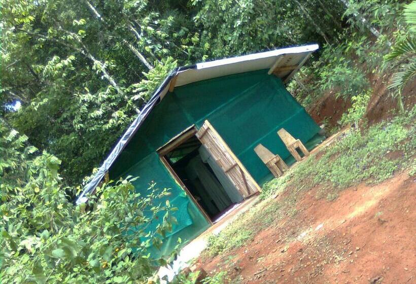 호텔 Isla Violin Eco Lodge