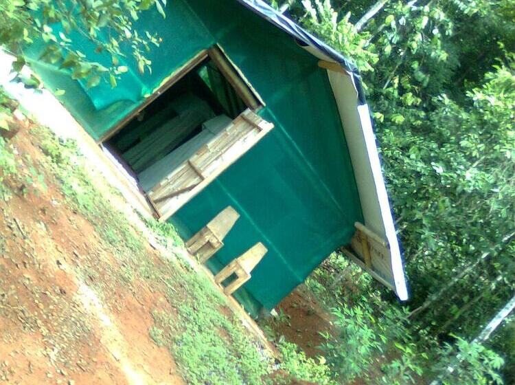 호텔 Isla Violin Eco Lodge