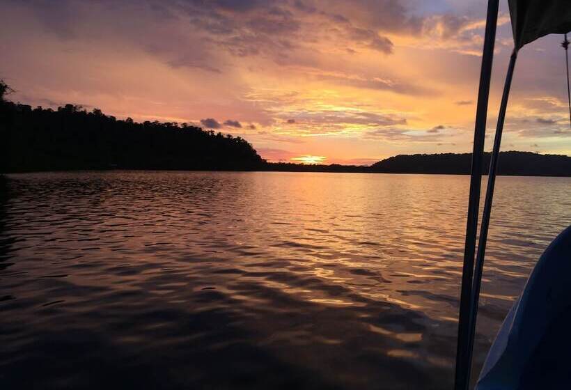 호텔 Isla Violin Eco Lodge