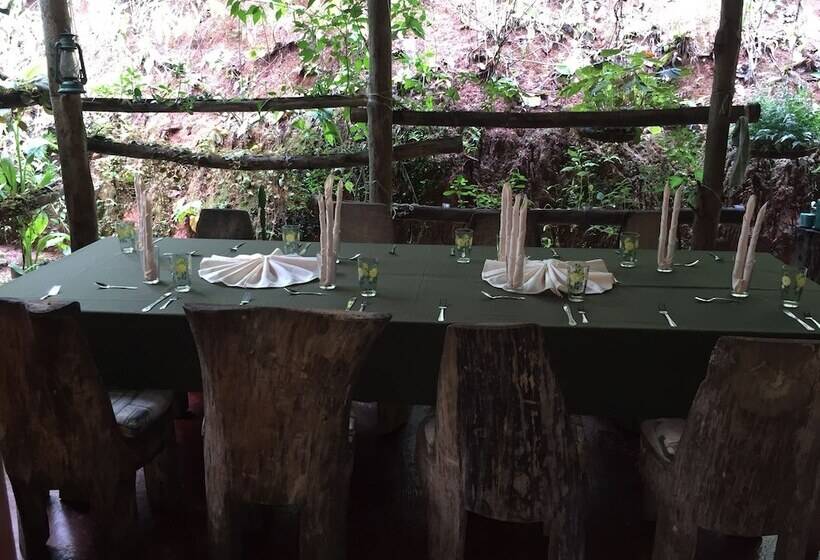 호텔 Isla Violin Eco Lodge