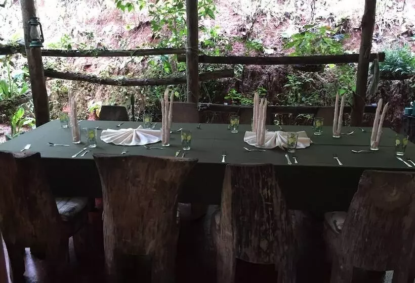 هتل Isla Violin Eco Lodge