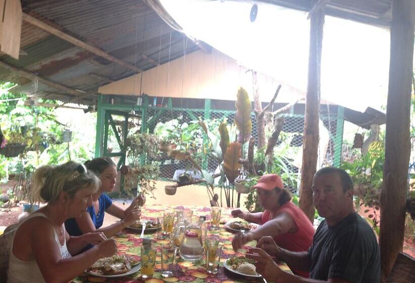 호텔 Isla Violin Eco Lodge