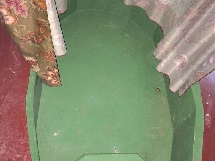 호텔 Isla Violin Eco Lodge