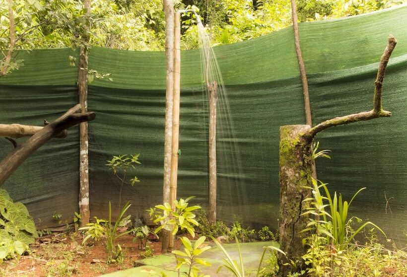 호텔 Isla Violin Eco Lodge