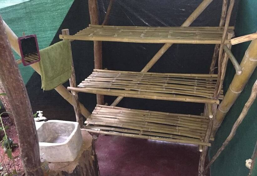 호텔 Isla Violin Eco Lodge