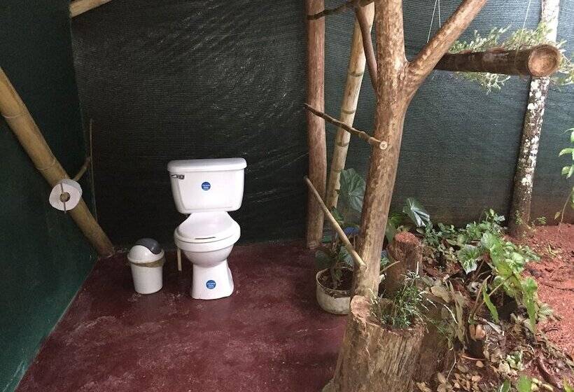 호텔 Isla Violin Eco Lodge