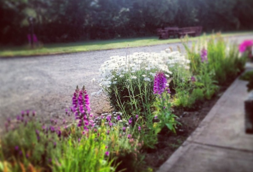 Отель Kilbora B&b