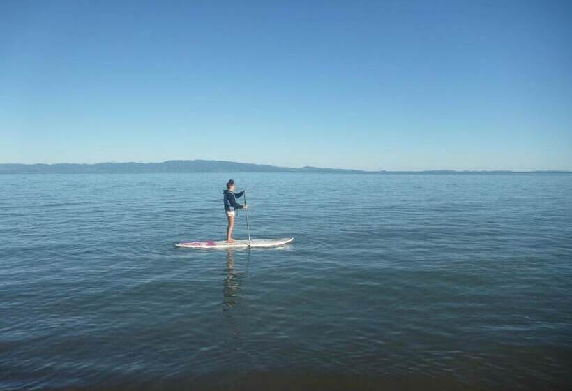 فندق Pohutukawa Coast Bnb