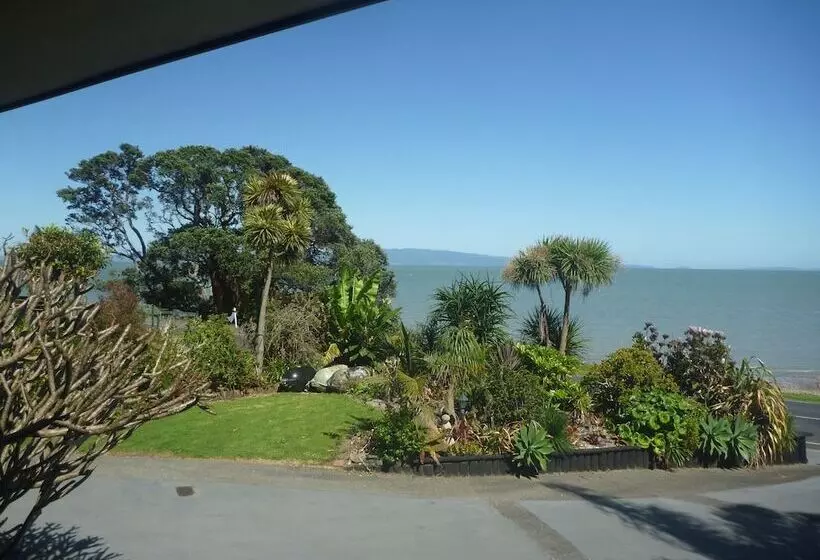 Hotelli Pohutukawa Coast Bnb