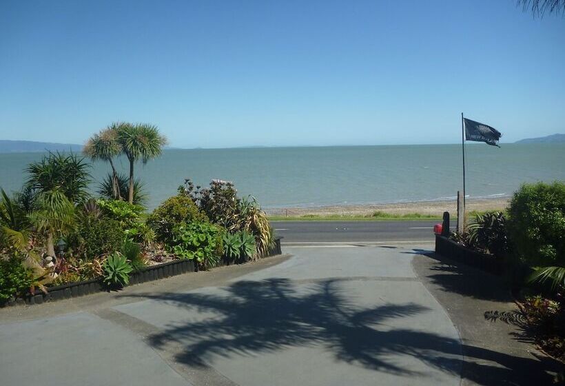 فندق Pohutukawa Coast Bnb