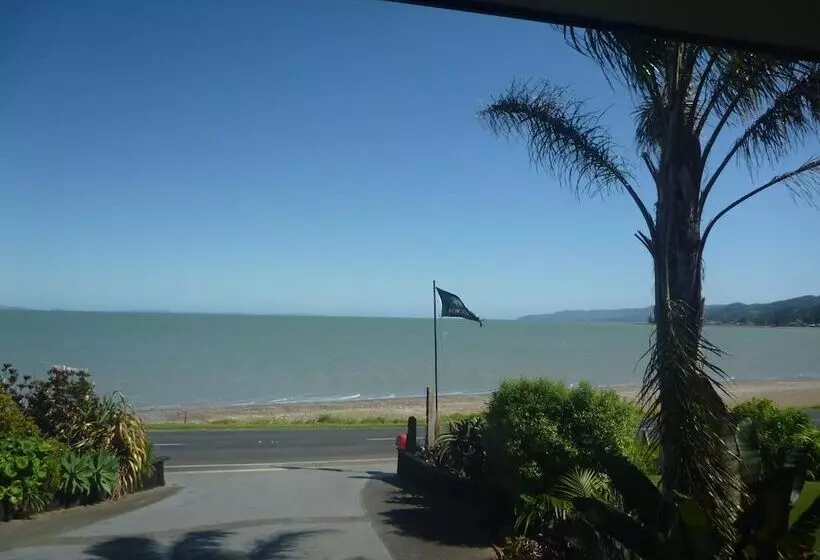 Hotelli Pohutukawa Coast Bnb