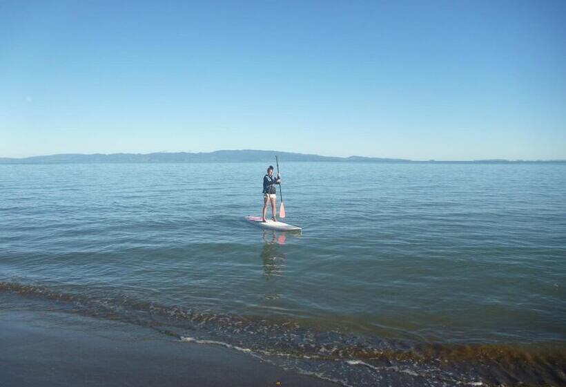 فندق Pohutukawa Coast Bnb