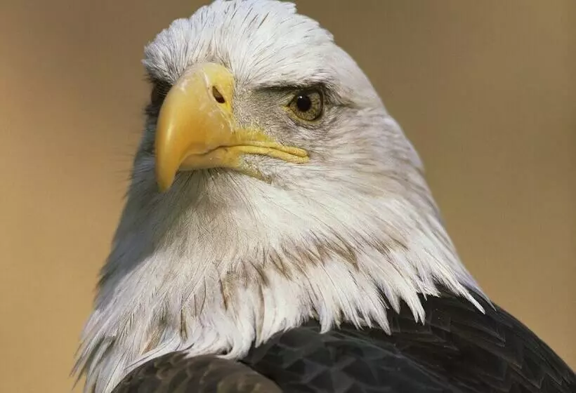 Hotelli Bed And Breakfast De Pauw