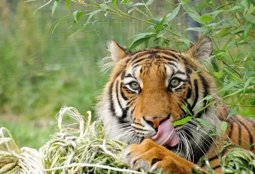 Hotelli Bed And Breakfast De Pauw