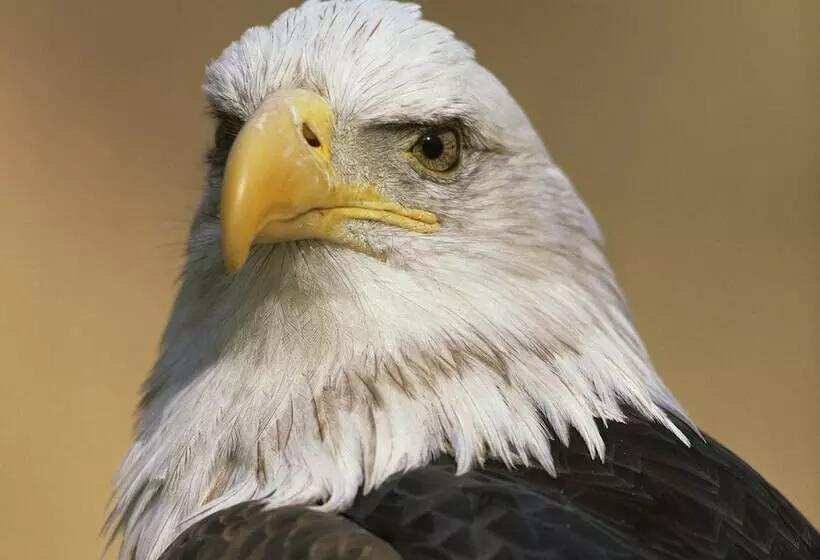 Hotelli Bed And Breakfast De Pauw