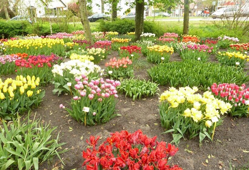 فندق Bed And Breakfast De Pauw