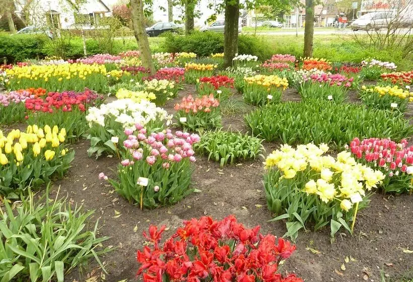 Hotelli Bed And Breakfast De Pauw