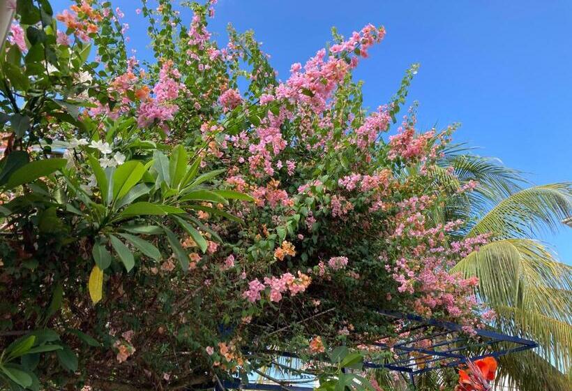 هتل La Villa Therese