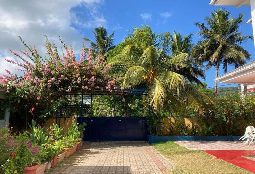 هتل La Villa Therese