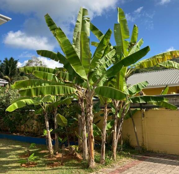 هتل La Villa Therese