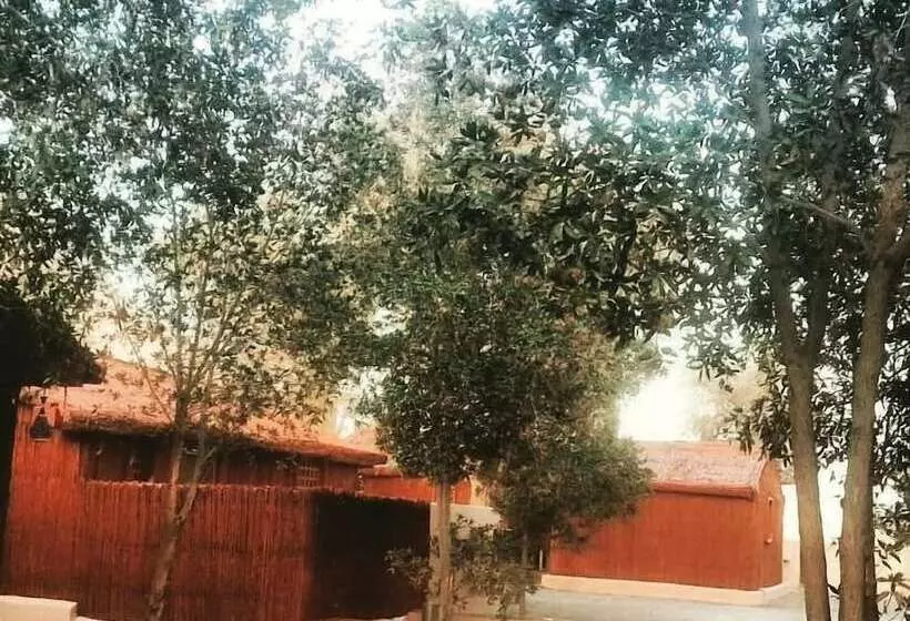 Hotelli Noor Majan Camp