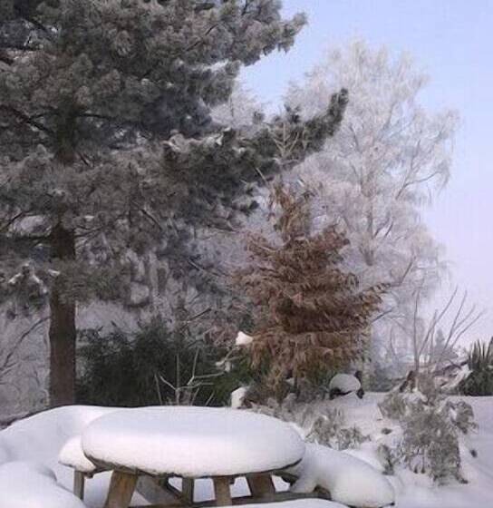 هتل Vertes Feuilles