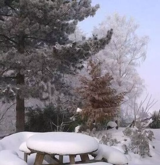 Hotelli Vertes Feuilles