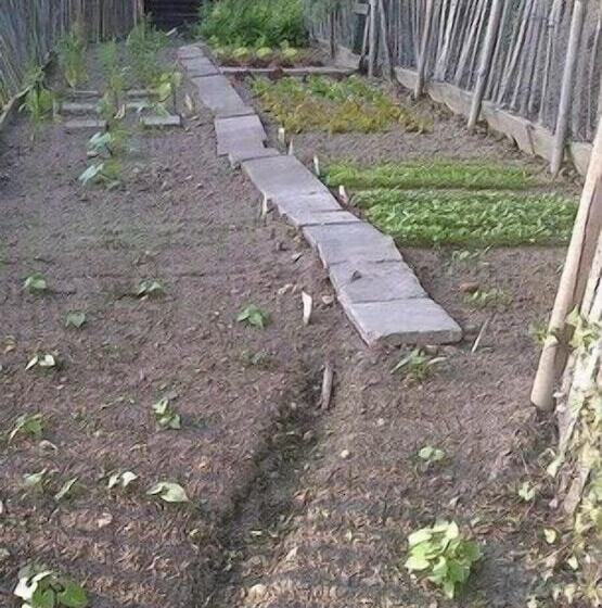 هتل Vertes Feuilles