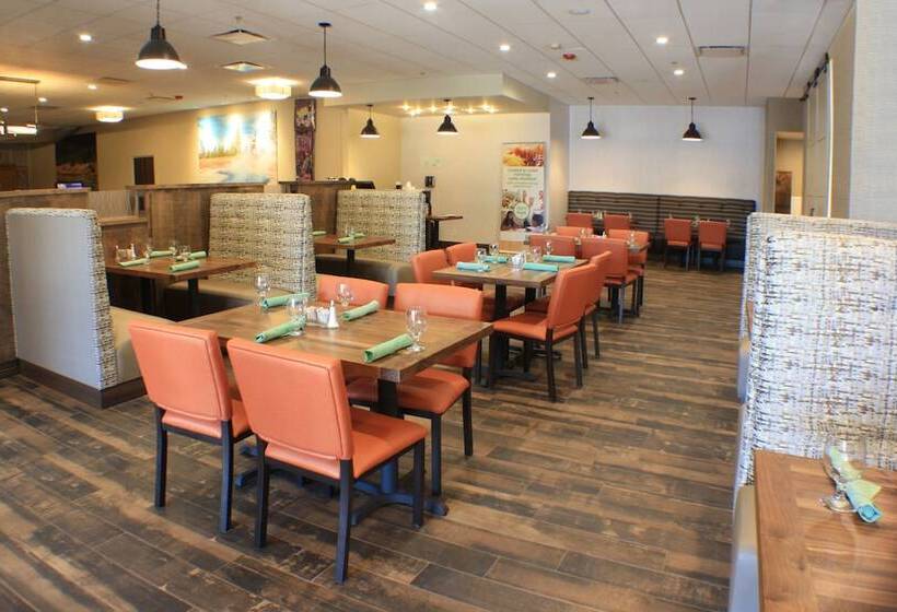 هتل Buffalo Bill Cabin Village