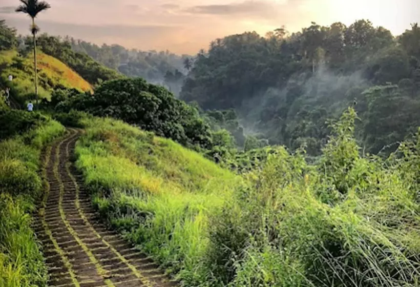 호텔 Awatara Boutique Resort Ubud