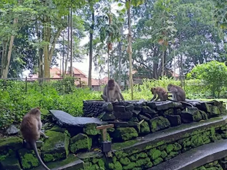 酒店 Awatara Boutique Resort Ubud