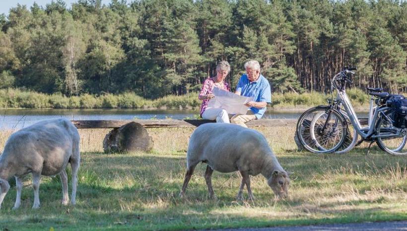 Отель Van Der Valk Spier Dwingeloo