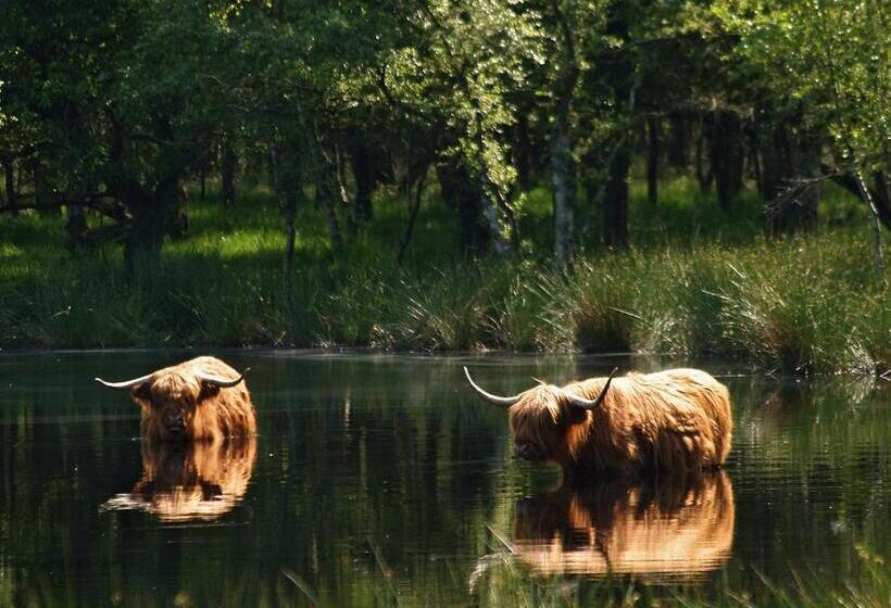 Отель Van Der Valk Spier Dwingeloo